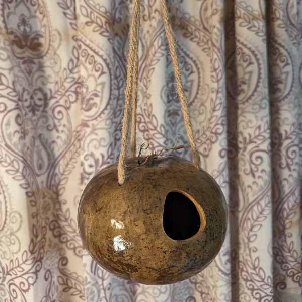 Birdhouse gourd. Cute, sturdy, rustic.  12" long in total. Natural fiber hanger. Inside of gourd gently cleaned, natural. Nice for nesting.