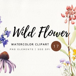 Wild Flowers, Watercolor Wild Flower, Wedding flower,Wild Flower PNG, Watercolor Flower PNG, Boho Flower, Flower Clipart