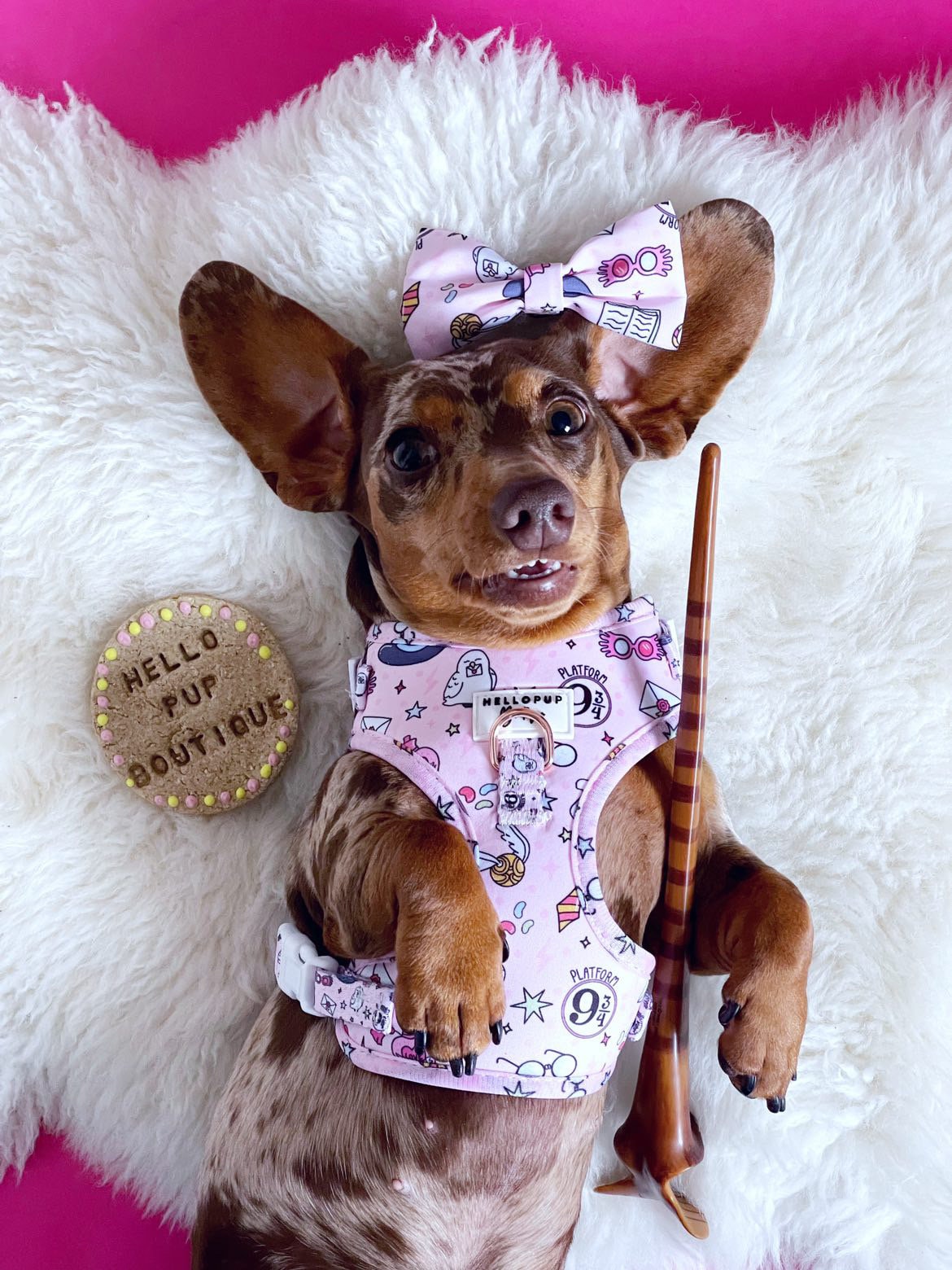 Harry Pawter Dog Harness, Pink Harry Potter Adjustable Etsy