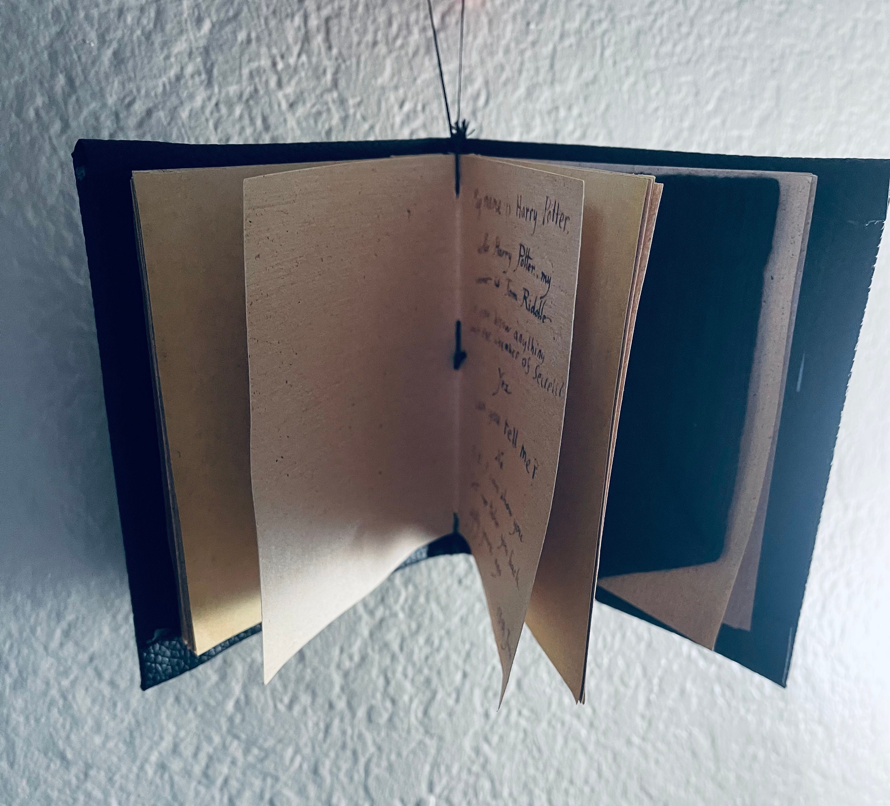 Harry Potter Tom Riddles Diary With Dobby Sock - Etsy