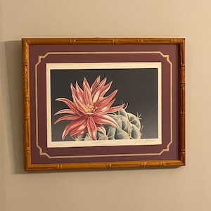 May include: Framed print of a botanical illustration of a pink cactus flower with green cactus in the background. The print is signed "Carol" and has a dark background.