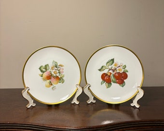 Lorenz Hutschenreuther Germany Hand Painted 10 Inch Plate