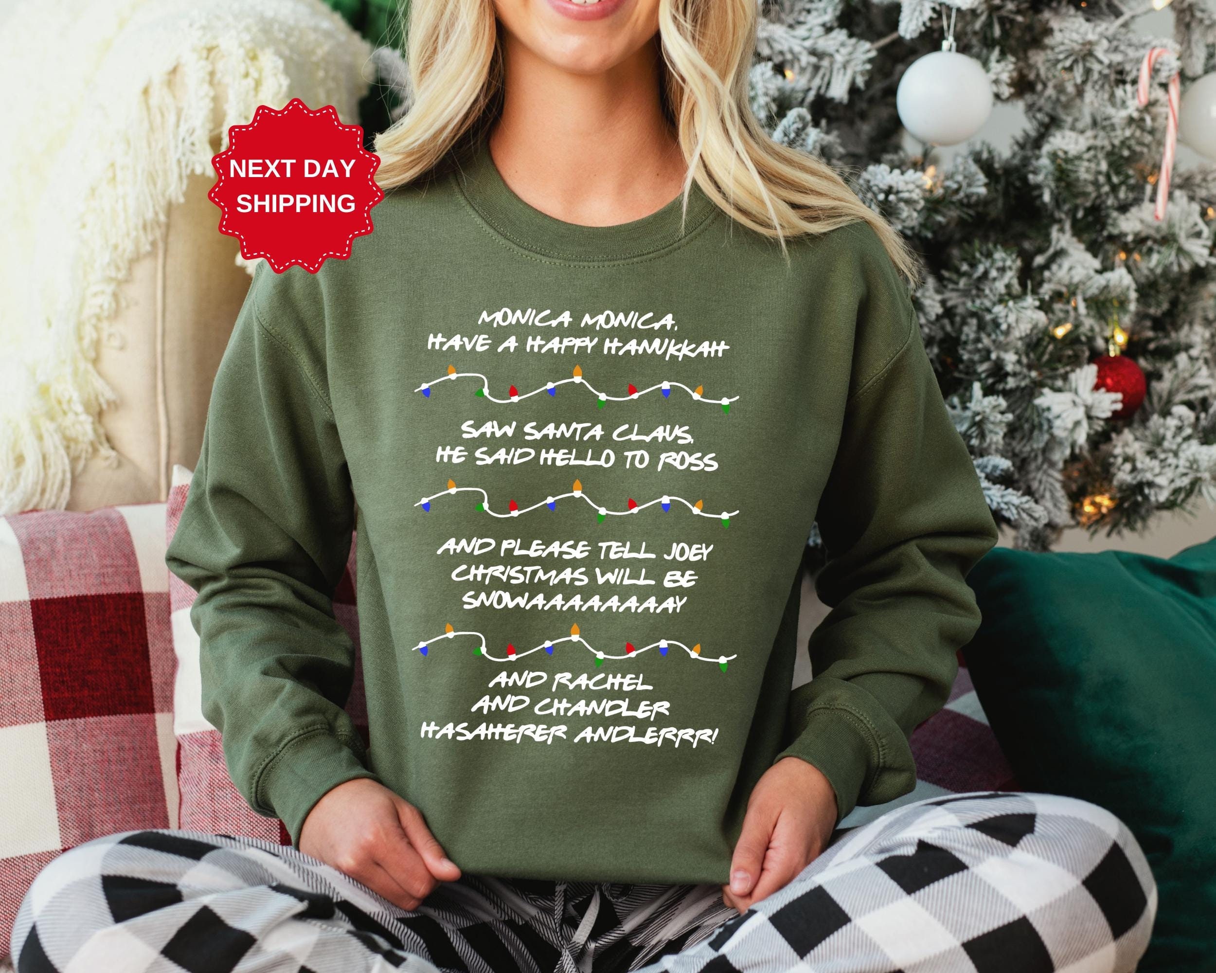 Phoebe Friends Christmas Sweater Friends Holiday Armadillo Sweater