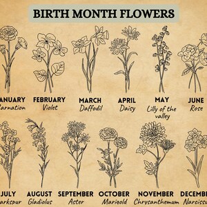 May include: A chart showing the birth month flowers. The flowers are illustrated in black and white. The months are listed in order from January to December. The flowers are: Carnation, Violet, Daffodil, Daisy, Lily of the Valley, Rose, Larkspur, Gladiolus, Aster, Marigold, Chrysanthemum, Narcissus.