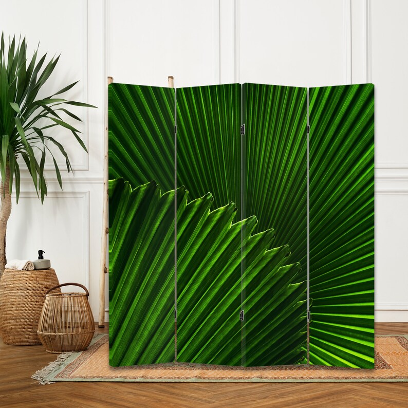 Puede incluir: Un divisor de habitaci&oacute;n verde con una imagen de primer plano de una gran hoja de palma. La hoja tiene un patr&oacute;n radial de rayas verdes.