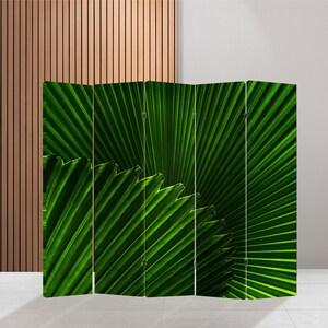 Puede incluir: Un divisor de habitaci&oacute;n verde con una imagen de primer plano de una hoja de palmera. La hoja es verde y tiene un patr&oacute;n radial.