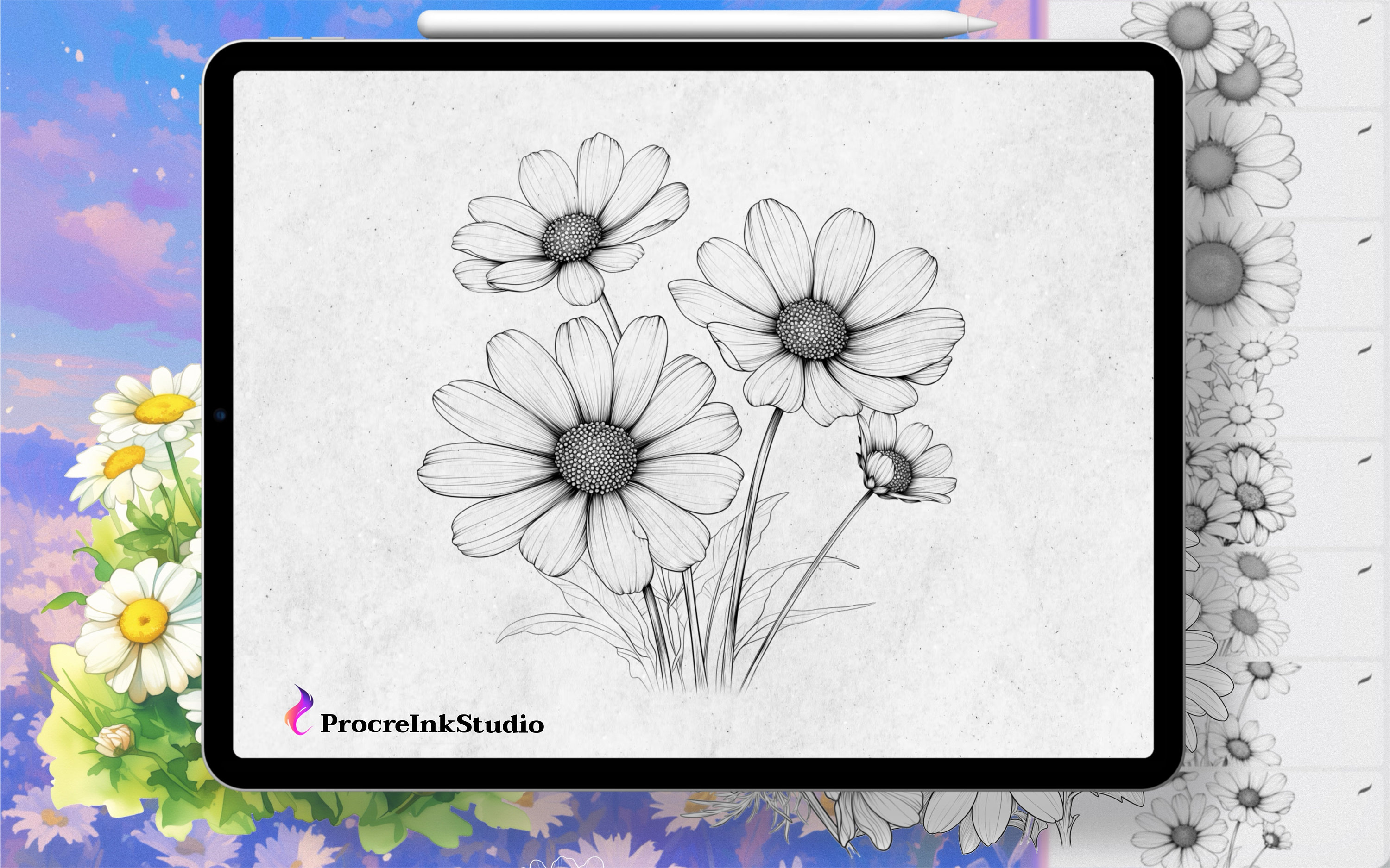 Procreate Daisy Flower Stamps , 100 Daisy Flower Procreate Brushes ...