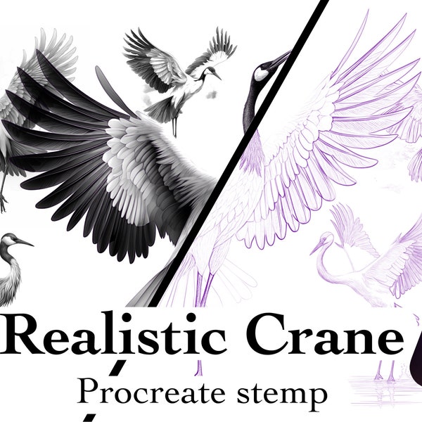 Procreate Crane realistic Tattoo, Realism Stamps, tattoo reference , realistic procreate, tattoo stencil, tattoos design, tattoos