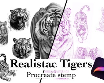 Procreate Tigers Tattoo, Realism Stamps ,tattoo reference ,realistic procreate, tattoo stencil, tattoos design, tattoos