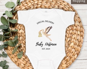 Personalized Baby Onesie®, Pregnancy Announcement Bodysuit, Baby Due 2025, Custom Baby Gift, Stork with Baby Vintage Watercolor Illustration