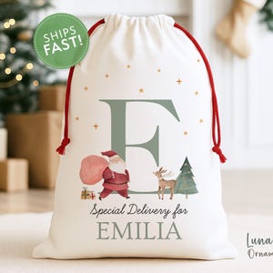 May include: A white drawstring gift bag with red cords featuring a large sage green letter E, a watercolor illustration of Santa Claus with a sack, a reindeer, a Christmas tree, gold stars, and the text Special Delivery for EMILIA.