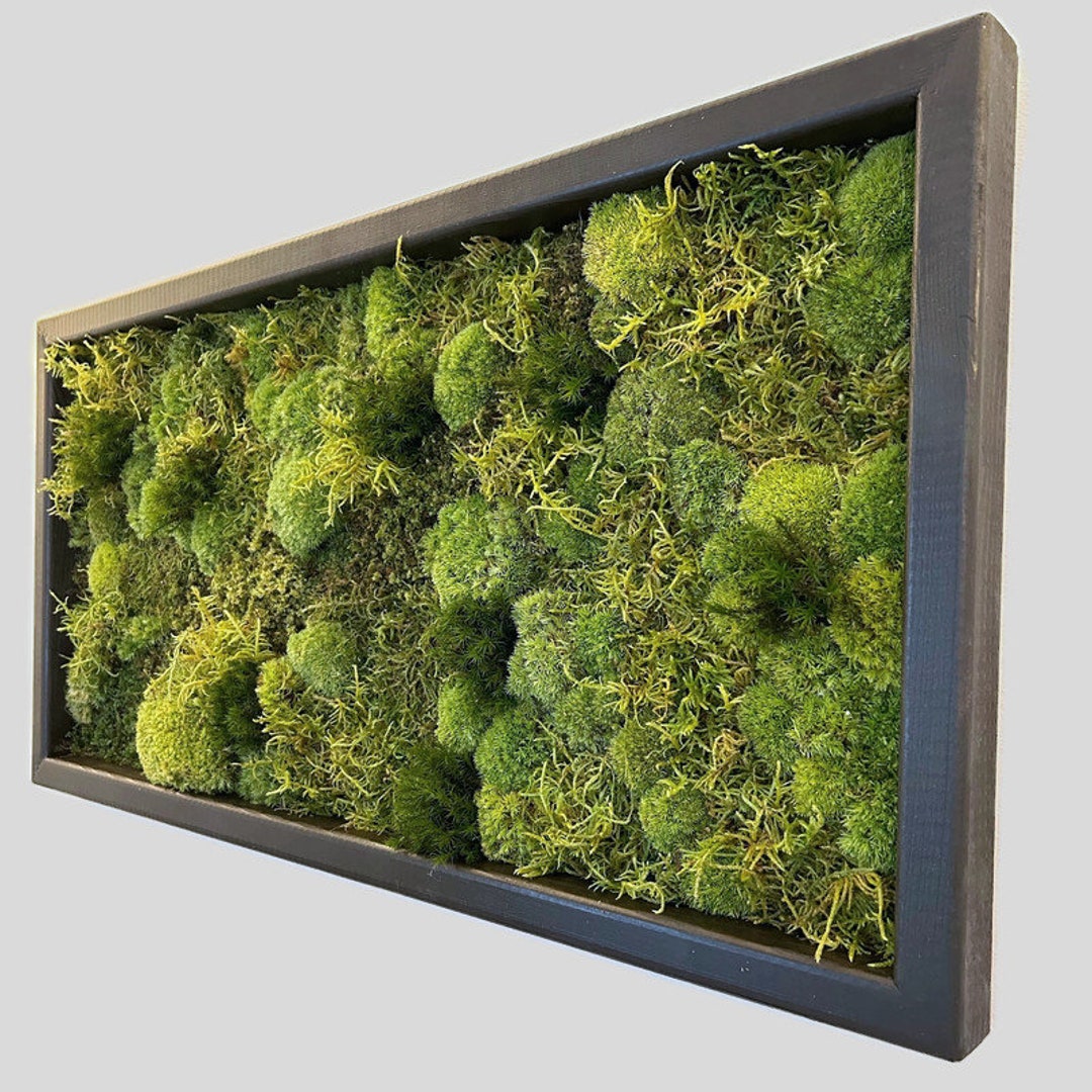 16x32 Moss Frame Moss Art Moss Wall Preserved Moss Floral Moss Wall Art