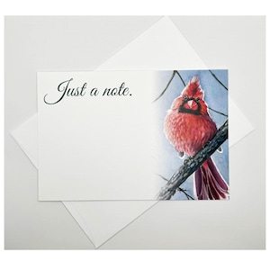 Cardinal Bird "Just a Note" All-Occasion Flat Note Card Set/Gift for Mom, Grandmother, Birthday/Perfect for Thinking of You, Thank You Notes