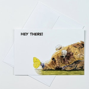 Bear with Butterfly "Hey There" All-Occasion Flat Note Eight-Card Set/Cute Cards Perfect for Thinking of You, Friendship Messages/Gift