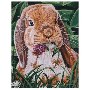 Floppy-Eared Bunny All-Occasion Blank Notecard