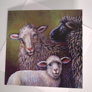 Sheep Family All-Occasion Blank Notecard OR 4-Card Set/Farm, Western & Country Theme/For Birthday, Thinking of You, Thank You Messages