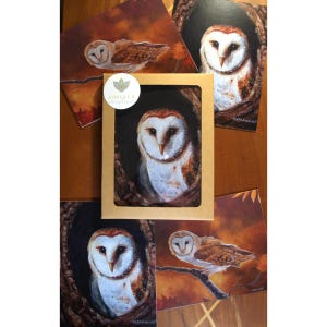 Woodland Owl All-Occasion Blank Boxed Notecard Set/Gift for Wildlife Lovers/For Birthdays, Thinking of You and Thank You Greetings