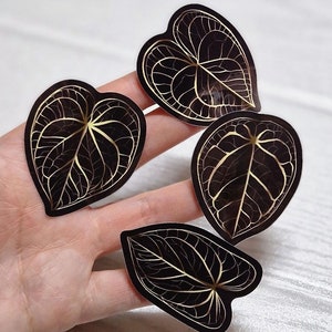 Set di adesivi in vinile Anthurium / Adesivi vegetali impermeabili per laptop / Adesivi con foglie nere