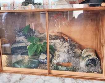 Vitrine pour reptiles