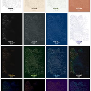May include: A collection of sixteen rectangular prints featuring a topographical map of Vienna, Austria. Each print displays the map in a different color scheme, including white, beige, and various shades of blue, green, and brown. The city name and country are printed at the bottom.