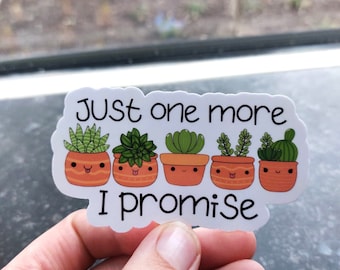 succulent sticker funny plant lady laptop sticker plant hoarderjust one more quote water bottle sticker cactus vinyl kawaii succulent