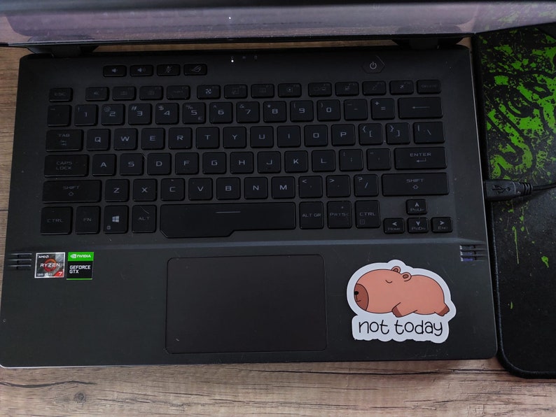 Puede incluir: Un ordenador port&aacute;til negro con una pegatina de un animal de dibujos animados con el texto "not today" en &eacute;l.