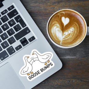 Pu&ograve; includere: Un laptop bianco con un adesivo di due oche di cartone animato che si danno il cinque con il testo "GOOSE BUMPS" sull'adesivo. Una tazza di caff&egrave; con latte art &egrave; sul tavolo accanto al laptop.