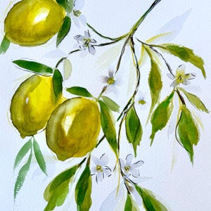 Watercolor botanical paintings on cotton paper size 7/9.8 Single source painting