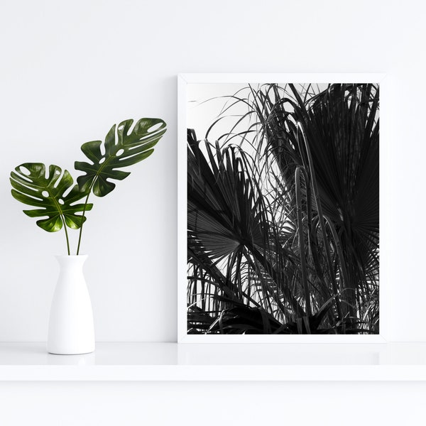 Palm tree black and white digital print for photo frames