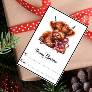 Op de afbeelding: Een kerstcadeaulabel met een illustratie van een Highland-kalf met een rood-witte strik. Het label zegt "Vrolijk Kerstfeest" en heeft ruimte voor "Aan:" en "Van:" op een cadeau verpakt in bruin papier met een rode lint.