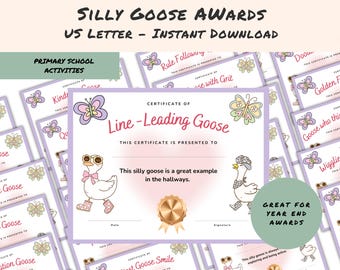 Preschool Award, Kids Certificate, Silly Goose Award, Classroom Award, School Award, Funny Goose Certificate, One Silly Goose,Award Template