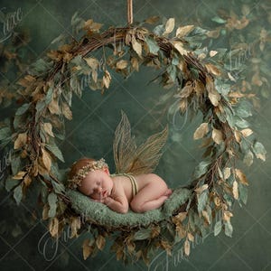 May include: A sleeping newborn baby rests inside a large, circular wreath made of leaves and branches. The wreath is suspended from above. The baby wears a floral crown and fairy wings. The background is a dark green.