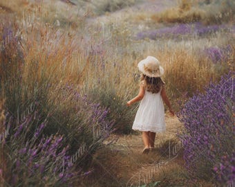 Summer Lavender Field digital background, Fine Art portrait photography backdrop,Photo Composite,Photoshop overlays,Soft Focus Flower Meadow