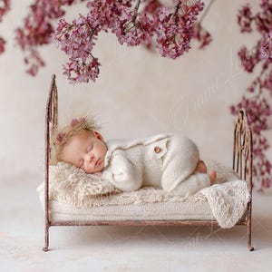 May include: A sleeping baby wearing a cream-colored outfit rests on a small, antique-style bed. The bed is made of metal and has a soft, textured blanket. Overhead, pink flowers hang from the branches, creating a soft, dreamy atmosphere.