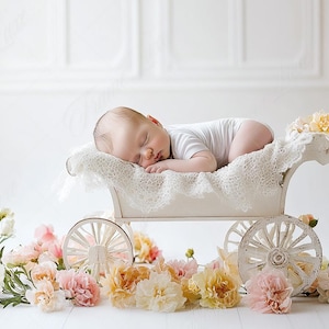 Neugeborenen digitaler Hintergrund, Frühling Blumen Warenkorb, Blumen Kinderwagen, Fine Art Fotografie digitaler Hintergrund, Fotografie-Overlays, kreativ zusammengesetzt