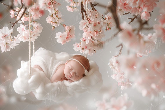 Newborn Digital Background, Pink Flower Cloud Swing, Baby Girl