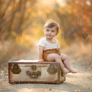 Könnte beinhalten: Ein Baby mit blauen Augen sitzt auf einem Vintage-Koffer auf einem Weg, umgeben von Herbstlaub.