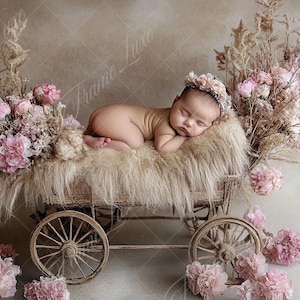 Neugeborenen digitalen Hintergrund, Boho Blumenwagen, Blumen Kinderwagen, Fine Art Fotografie digitaler Hintergrund, Fotografie-Overlays, Kreativer Verbundstoff