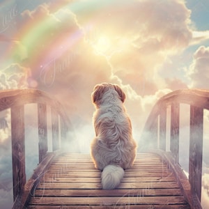May include: A white and brown dog sits on a wooden bridge in the clouds, looking towards a bright light in the sky.