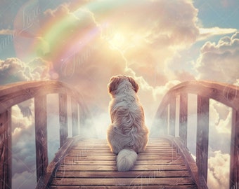 Sfondo digitale Rainbow Bridge, sfondo digitale commemorativo per animali domestici, sfondo fotografico Way to Heaven per la perdita di animali domestici di simpatia, download digitale