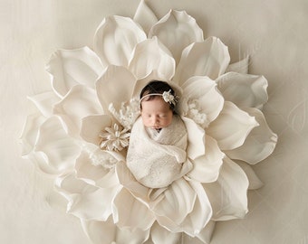 Fondo digital para recién nacidos, Baby Girl White Flower on Beige, Fondo digital de fotografía de bellas artes, Superposiciones de fotografía, Compuesto creativo