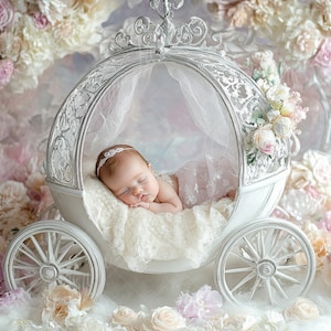 Digitale achtergrond pasgeborene, zilveren lila prinses kar, bloemenwagen, Fine Art digitale achtergrond, fotografie-overlays, creatieve composiet