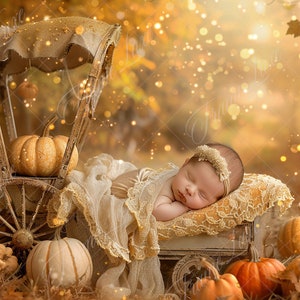 Newborn digital background, Autumn Pumpkin Cart, Bokeh, Soft Focus,Newborn photography digital backdrop,Photography overlays,Photo Composite