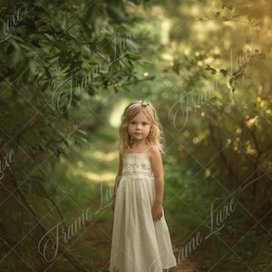Summer Green Woodland digital background, Woods Path, Fine Art portrait photography digital backdrop, creative composite, grass, trees