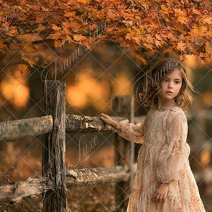 May include: A child with shoulder-length hair wearing a long-sleeved, cream-colored lace dress with a delicate floral pattern. The child stands beside a weathered wooden fence under a canopy of vibrant orange and yellow autumn maple leaves.