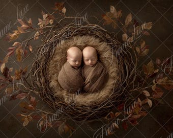 Newborn Digital Backdrop, Baby Boy Brown Leaf Nest, Newborn Composite digital background, Photoshop Overlays,Studio Background,Photo Editing