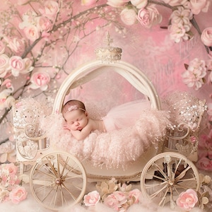 新生児のデジタル背景、ピンクのプリンセスカート、花の乳母車、ファインアート写真のデジタル背景、写真オーバーレイ、クリエイティブ合成