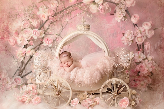 Newborn digital background, Pink Princess Cart, Flower Pram, Fine Art photography digital backdrop, Photography overlays, Creative Composite
