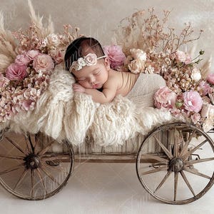 Neugeborenen digitalen Hintergrund, Boho Blumenwagen, Blumen Kinderwagen, Fine Art Fotografie digitaler Hintergrund, Fotografie-Overlays, Kreativer Verbundstoff