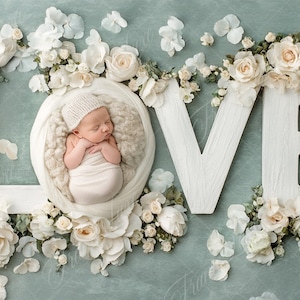 Neugeborener digitaler Hintergrund, Liebesbrief mit Blumen, Baby-Mädchen, kreativer zusammengesetzter digitaler Hintergrund, Photoshop-Overlays, Studio-Hintergrund